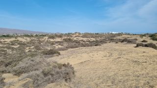 2023-GC--Mapalomas dunas-S123-224.jpg